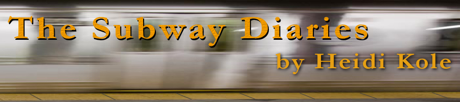 The Subway Diaries by Heidi Kole