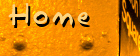 home Home