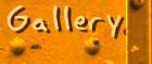 Gallery Gallery